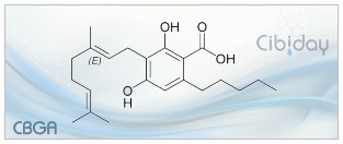 CBGA Cannabigerolic acid info
